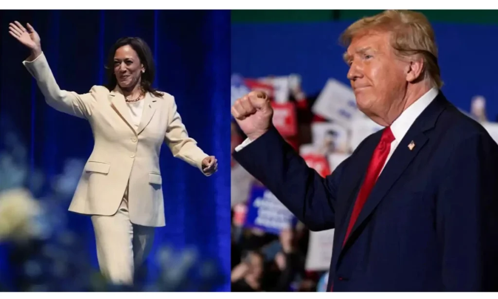 trump vs harris polls